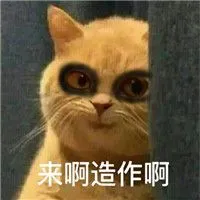 download fafafa slot mod Jangan terlalu sombong! Xie Bingqian-lah yang pertama kali menanggapi Shi Zhijian